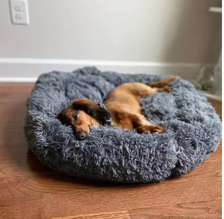 Calming Anti-Anxiety Bed for Dogs & Cats